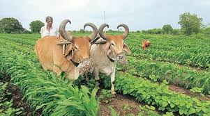 मुख्यमंत्री कृषक समृद्धि योजना