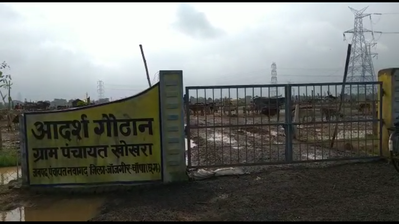 GAAYON KI MAUT