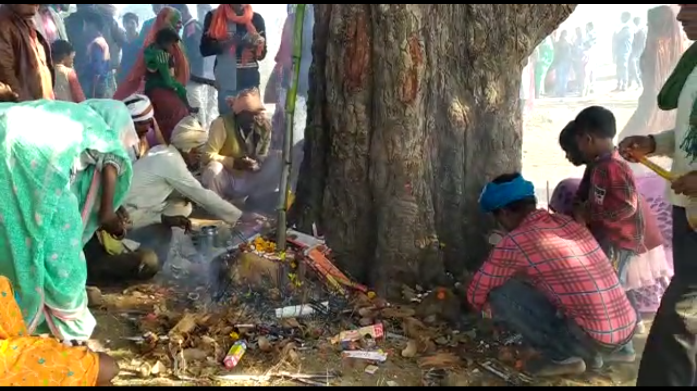 MAHUA KA PED