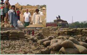 किसी भी प्रदेश से कम कीमत पर नहीं हो प्रदेश में धान की खरीदी