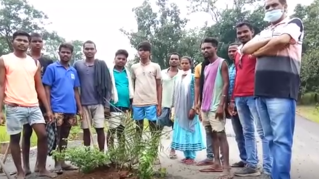  Plantation