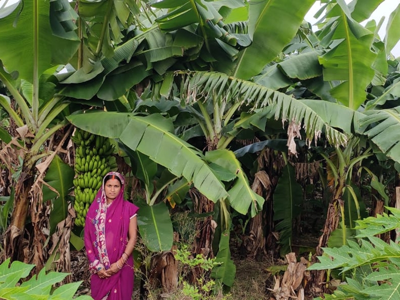  Farming woman