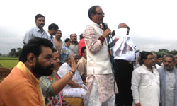 flad mp