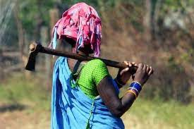 मंडला की तीन ग्राम पंचायत के बैगा समुदाय को मिले हेबीटेट राईट्स
