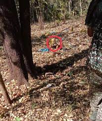 narayanpur, ITBP jawan injured, IED blast